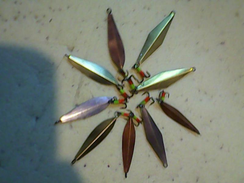 IMG0044A.jpg