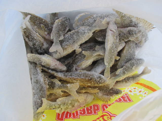 utz6n.jpg
