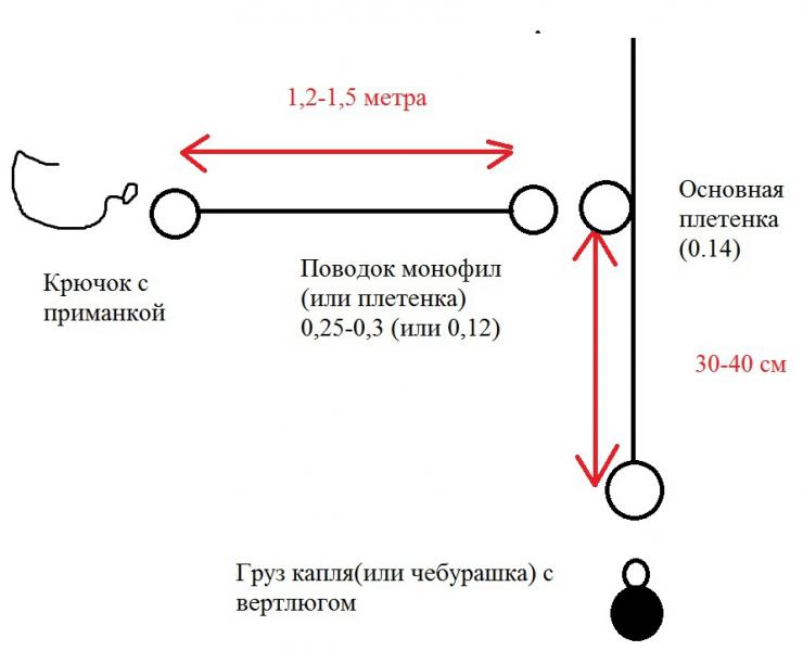 Пример ОП.jpg