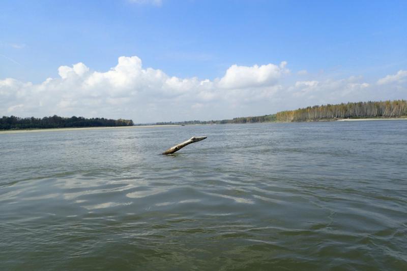 P9010045.JPG