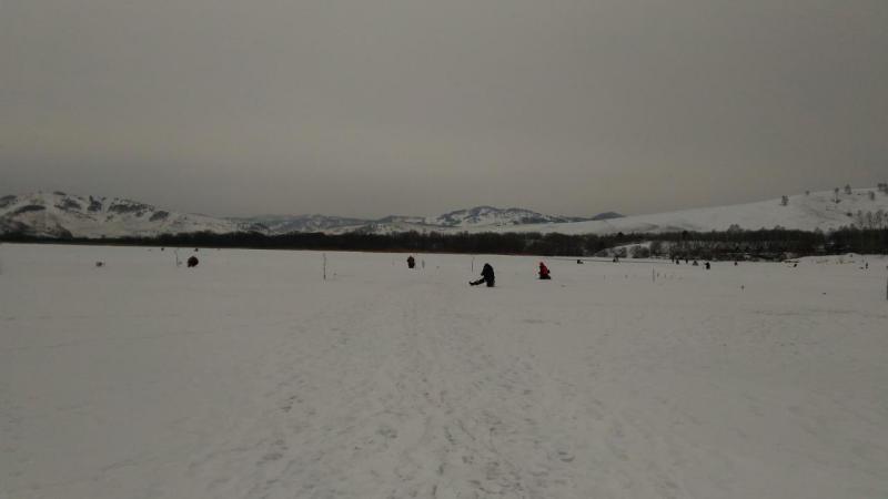 P_20151220_091058.jpg