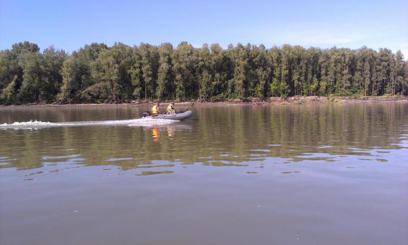 IMAG1414.jpg