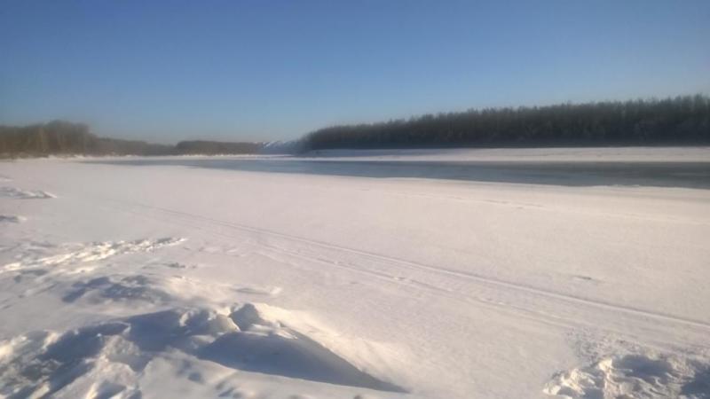 WP_20160128_14_13_46_Pro.jpg