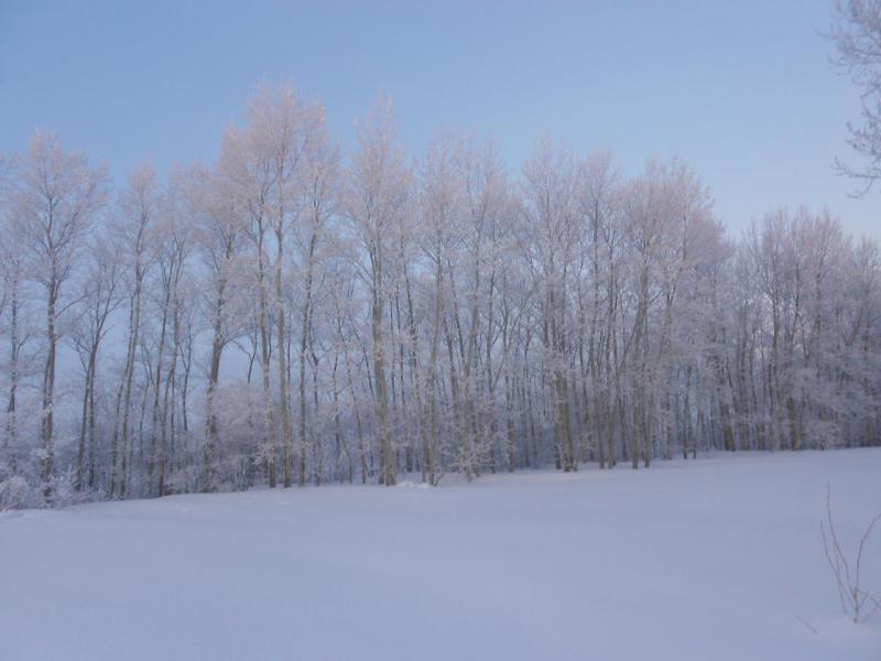 DSCN1405.JPG