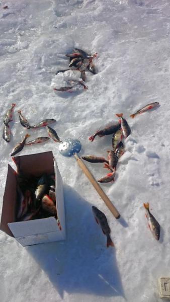 DSC_0053 копия.jpg