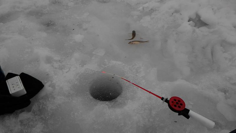 P_20160228_081903.jpg