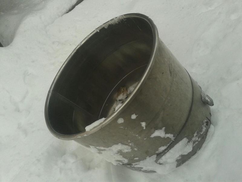 IMG-20160209-WA0000.jpg