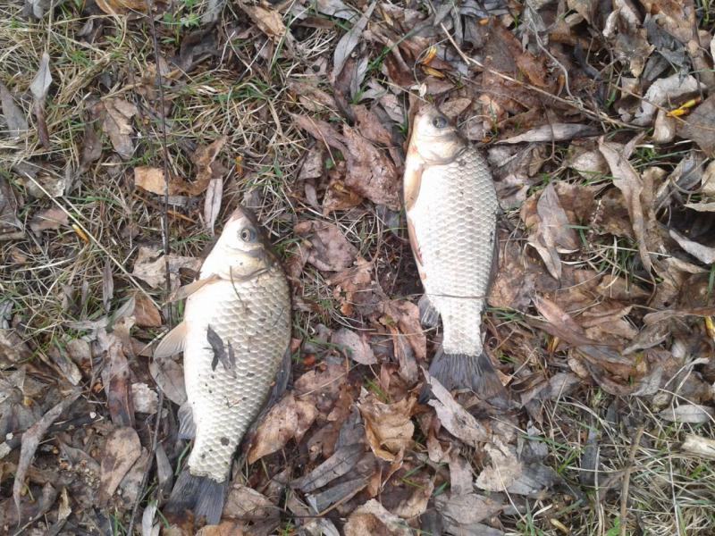 2016-04-25 13.41.42.jpg