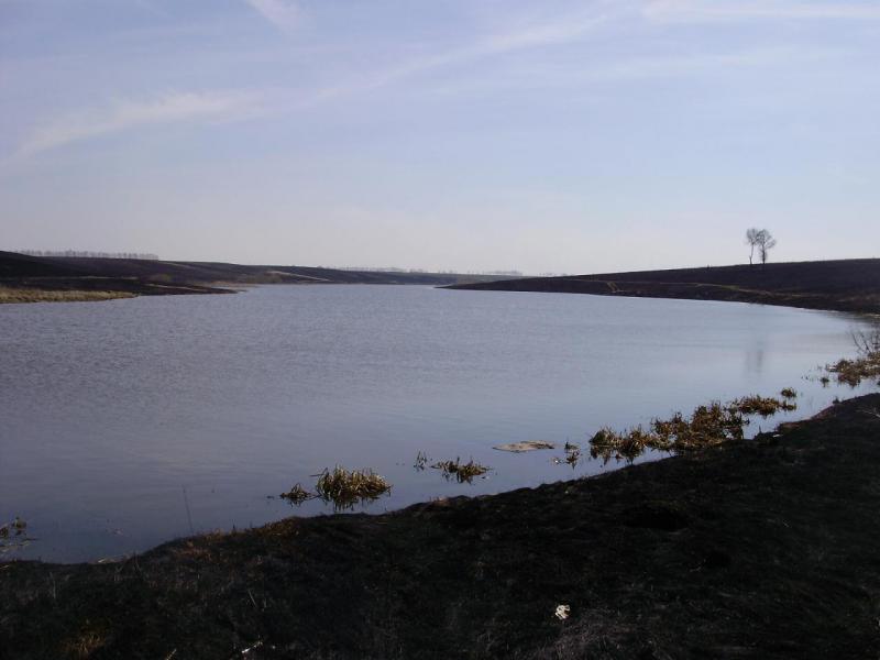 P1180227.JPG