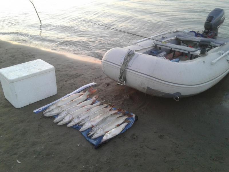 20170806_211532.jpg