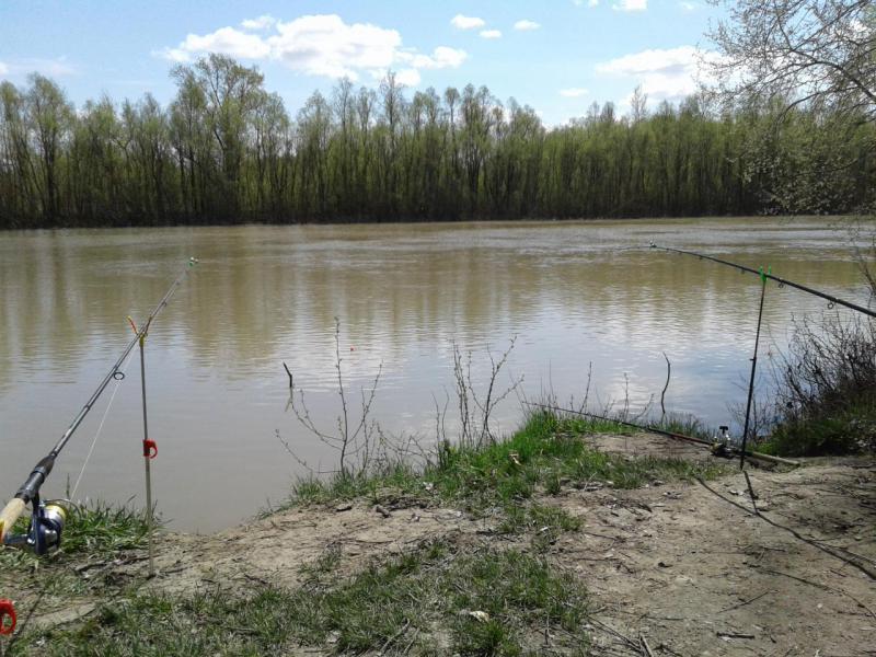 20160430_131225.jpg