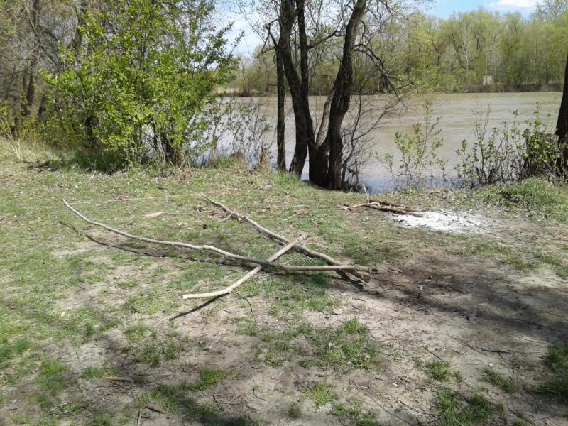 20160430_141926.jpg