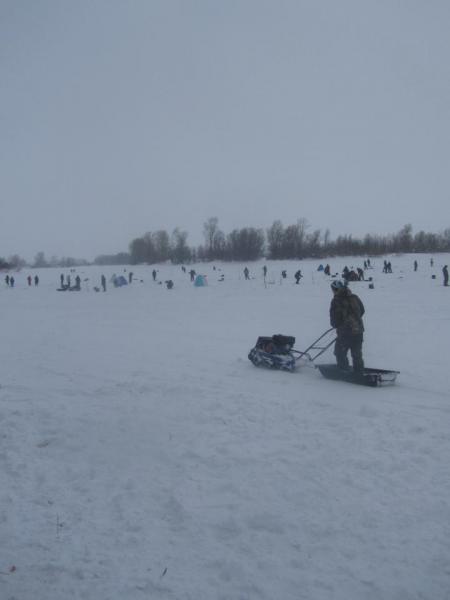 IMG_2377.JPG