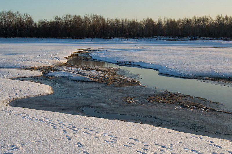 DSC_0801.jpg