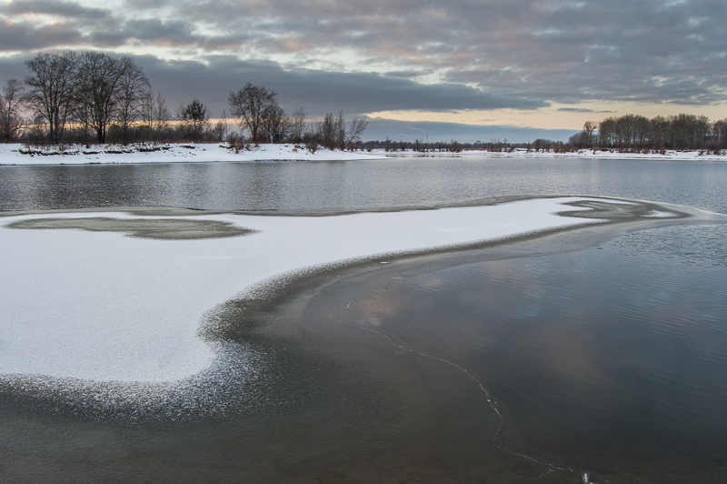 DSC_6555.jpg