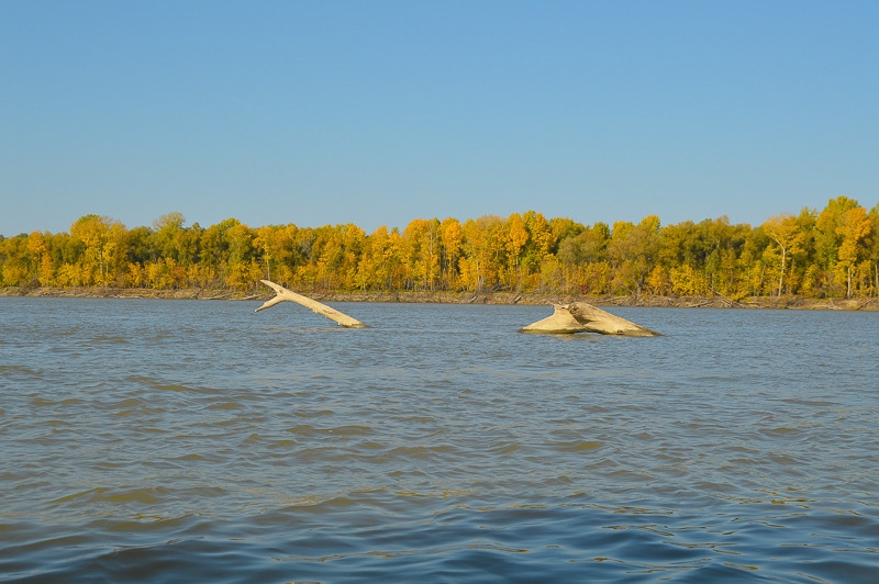 DSC_1843.jpg