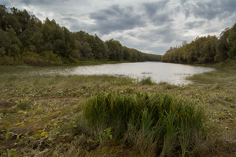 DSC_0022.jpg