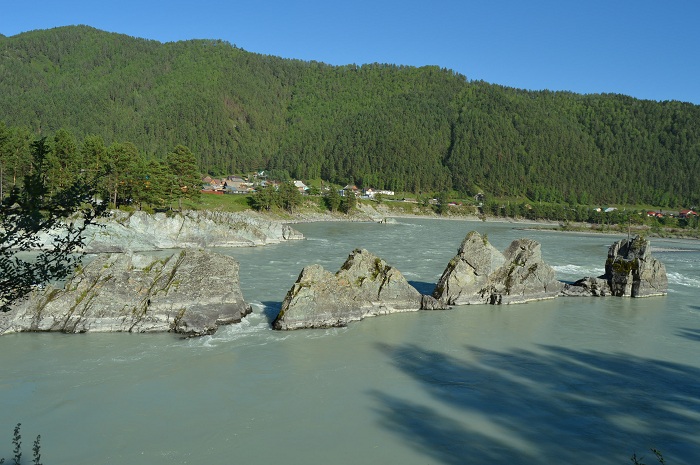 катунь.JPG