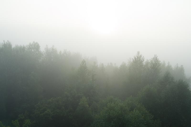 DSC_9588.jpg