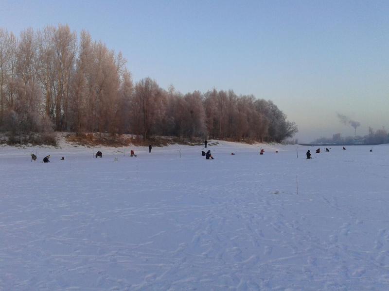IMG-20171209-WA0003.jpg