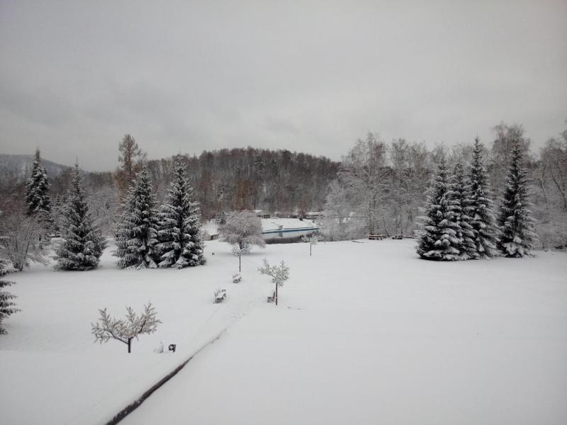 IMG_20151024_094444.jpg