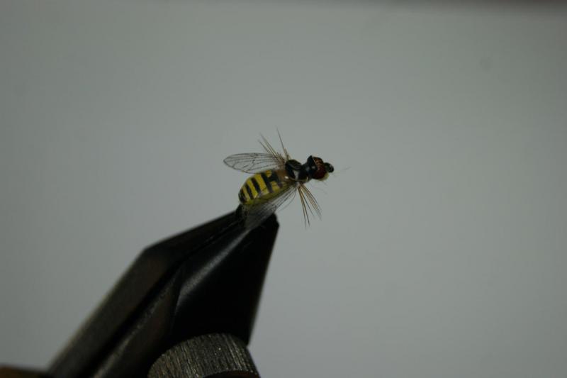 DSC07980.JPG