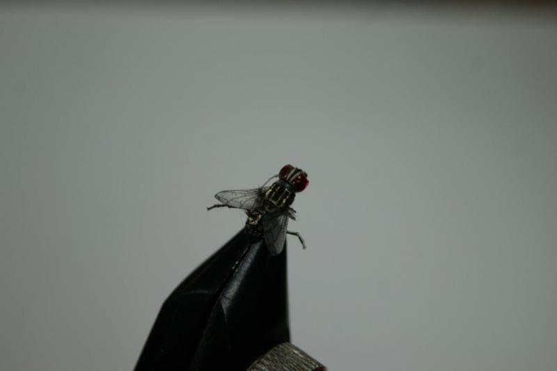 DSC07983.JPG
