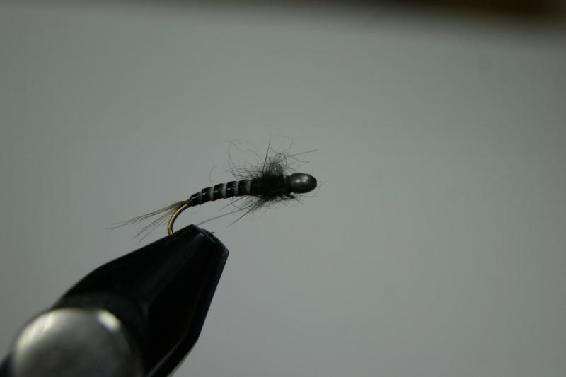 DSC07977.JPG