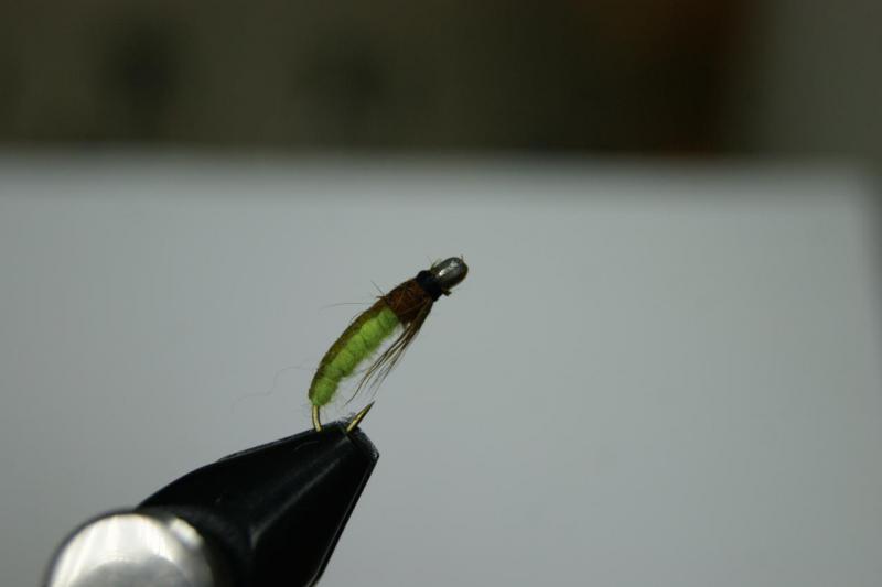 DSC07970.JPG
