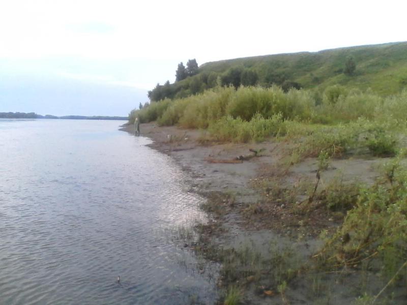 IMG_20160720_061604.jpg
