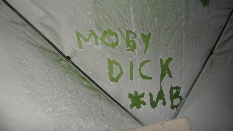 SAM_2521.JPG