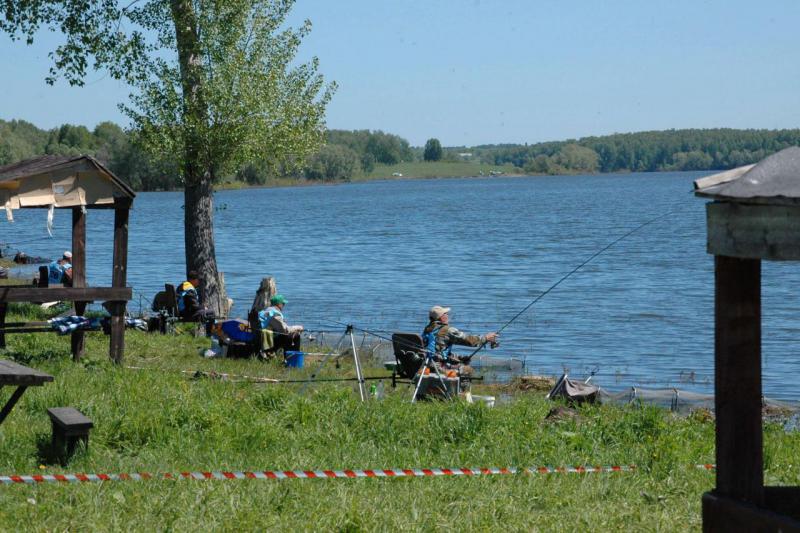 DSC_0146.JPG
