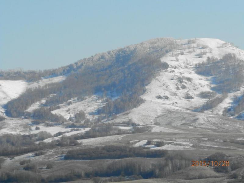 PA280106.JPG