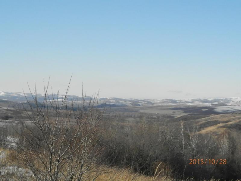 PA280108.JPG