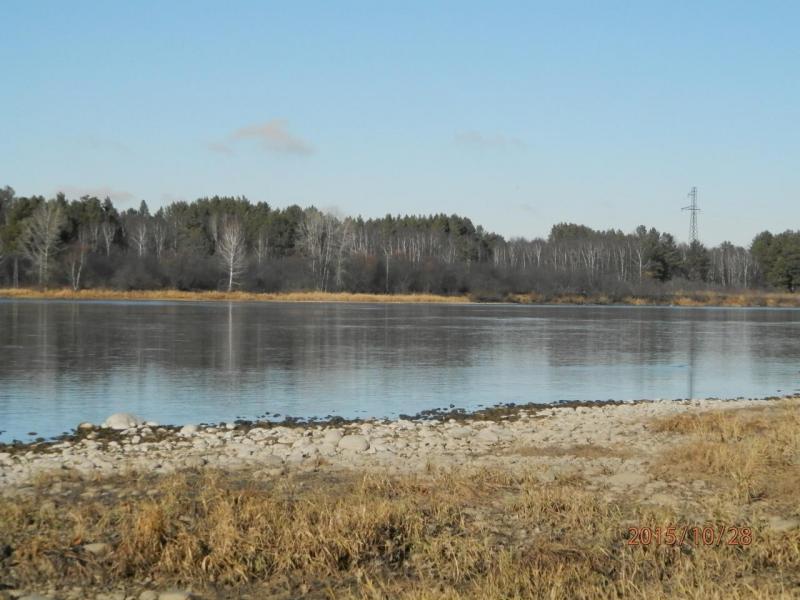 PA280111.JPG