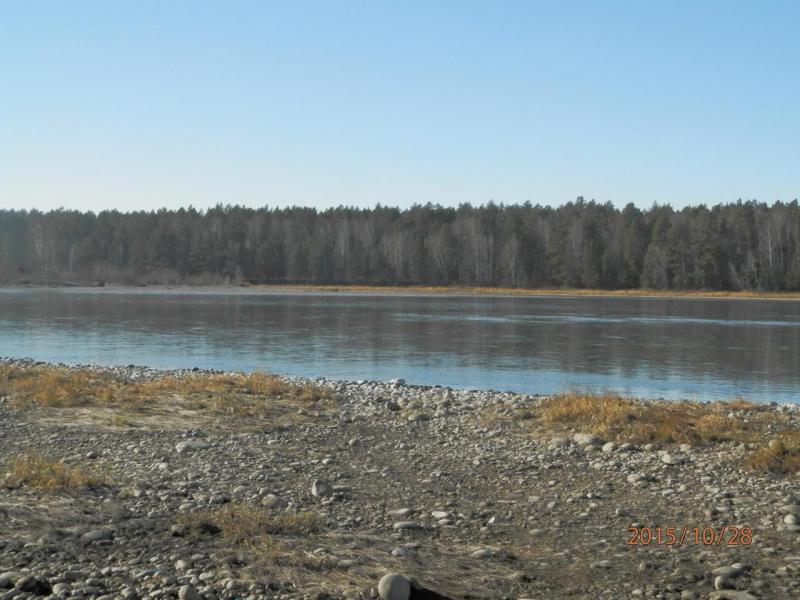 PA280110.JPG