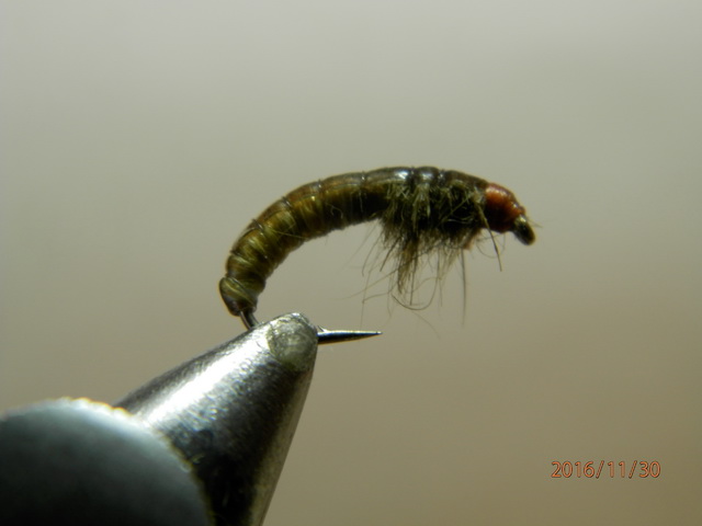 PB300254.JPG