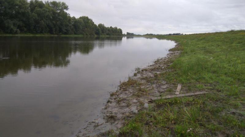 IMG-20170813-WA0011.jpeg