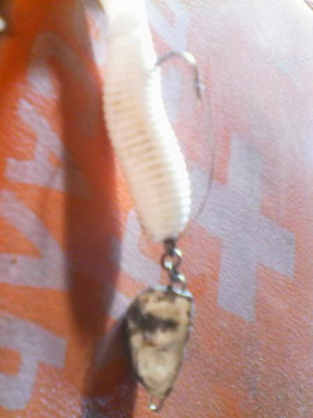 IMG0026A.jpg