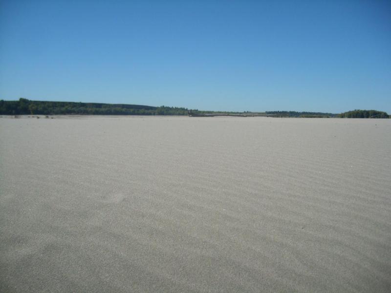 SL737440.JPG
