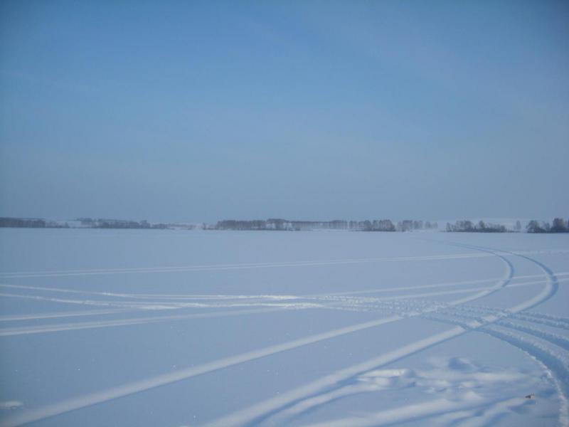 SL737260.JPG