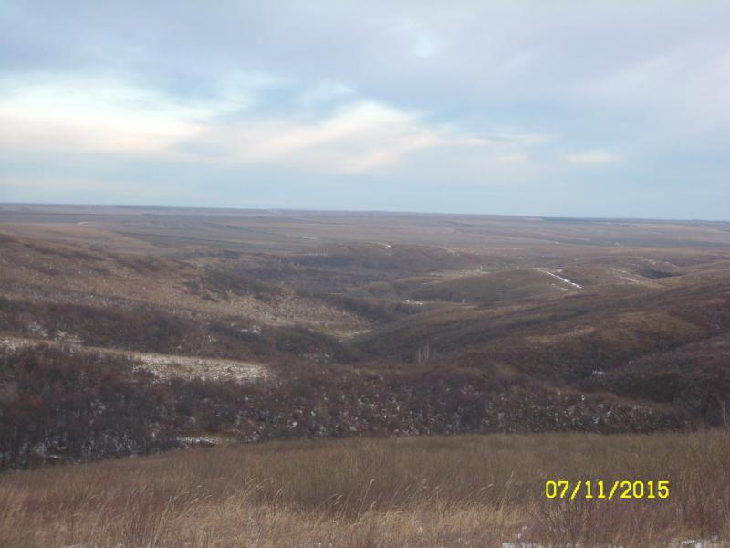 SL737142.JPG