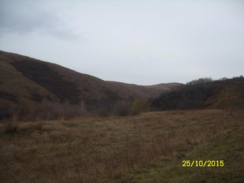 SL737123.JPG