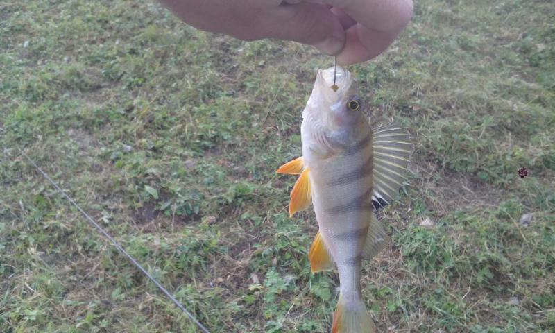 IMG_20160918_082214.jpg