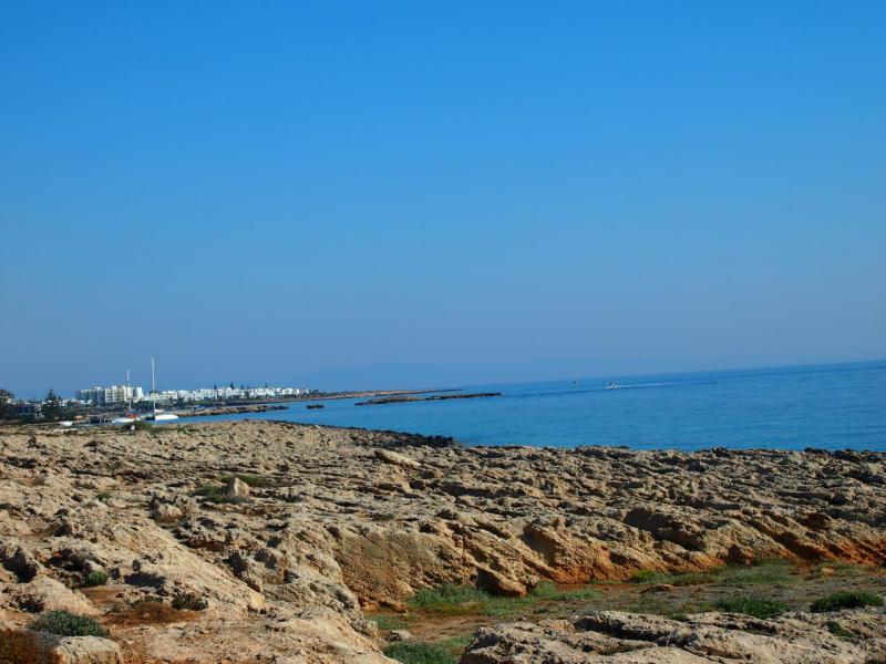 P1011462.JPG