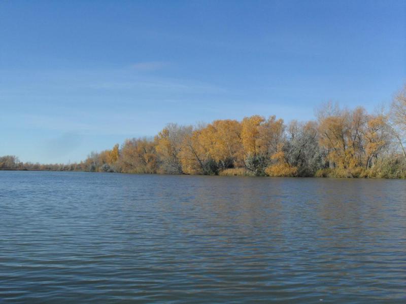 SDC14204.JPG