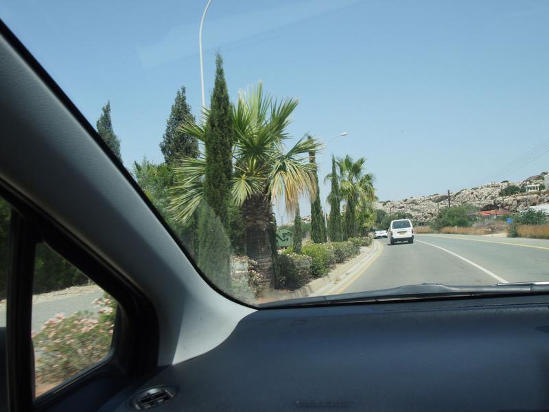 P1012395.JPG