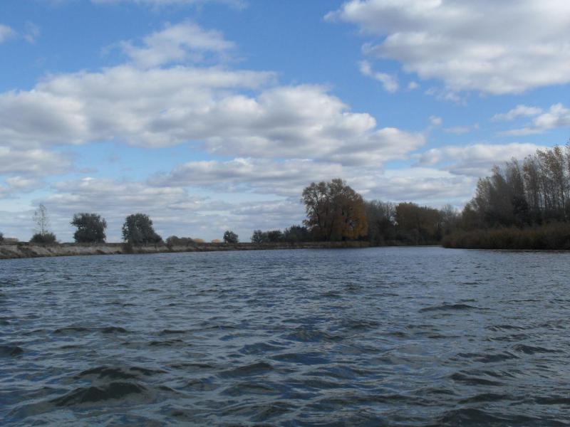 SDC14222.JPG