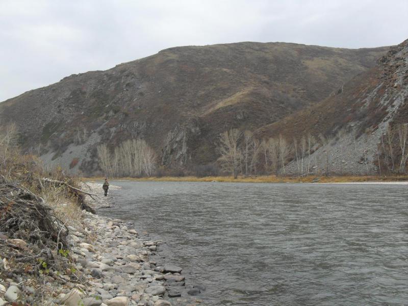 SDC14434.JPG