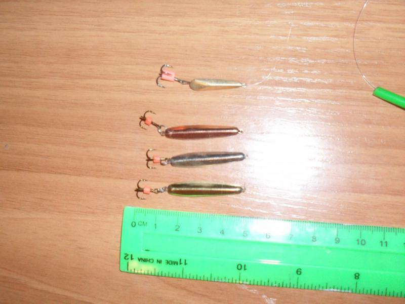 SDC15264.JPG